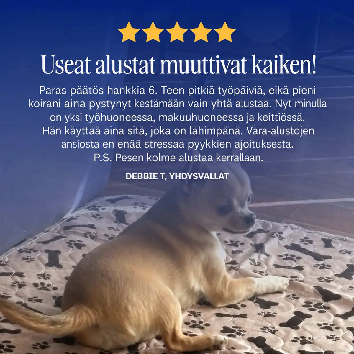 DoggyPad – uudelleenkäytettävä pissamatto