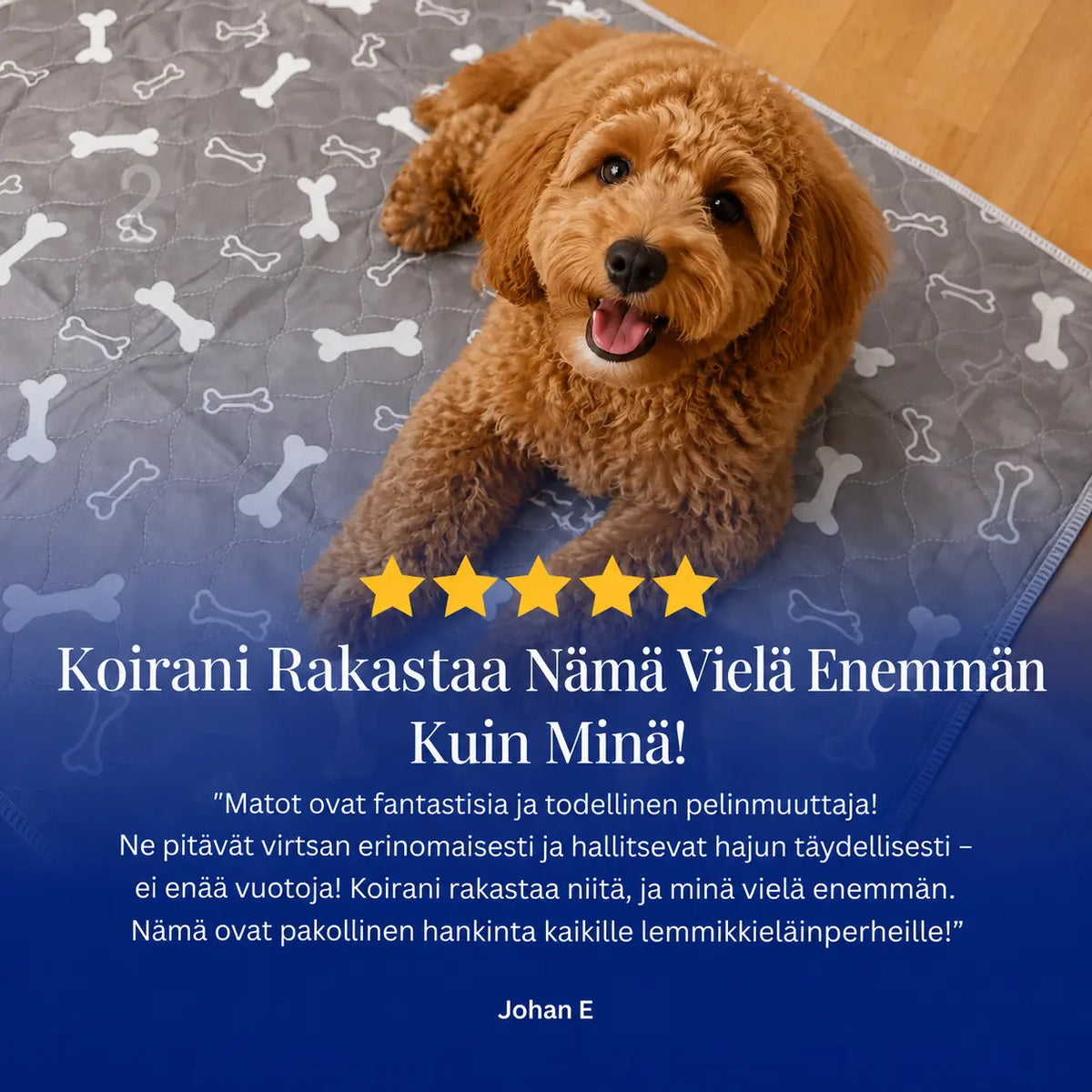 DoggyPad – uudelleenkäytettävä pissamatto