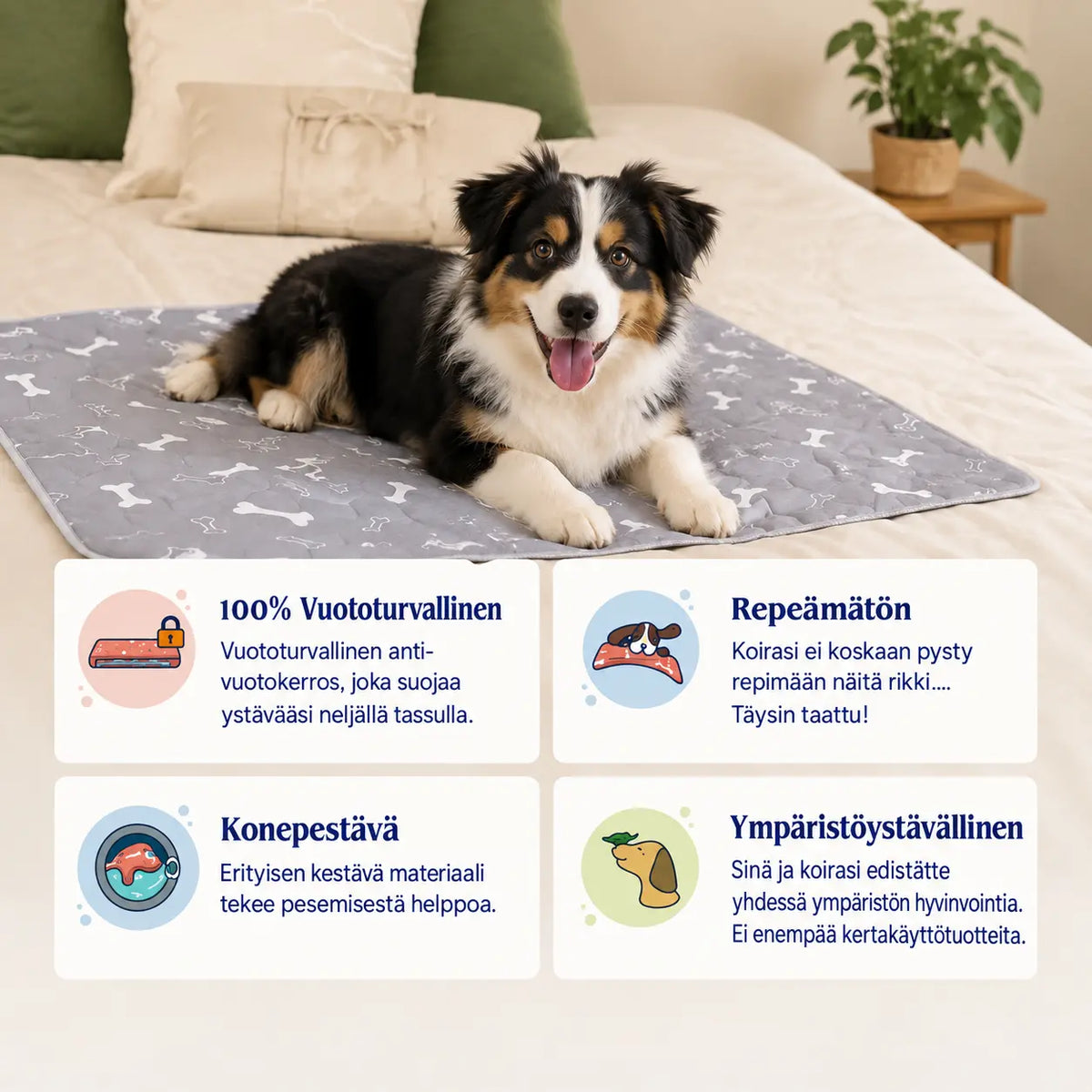 DoggyPad – uudelleenkäytettävä pissamatto